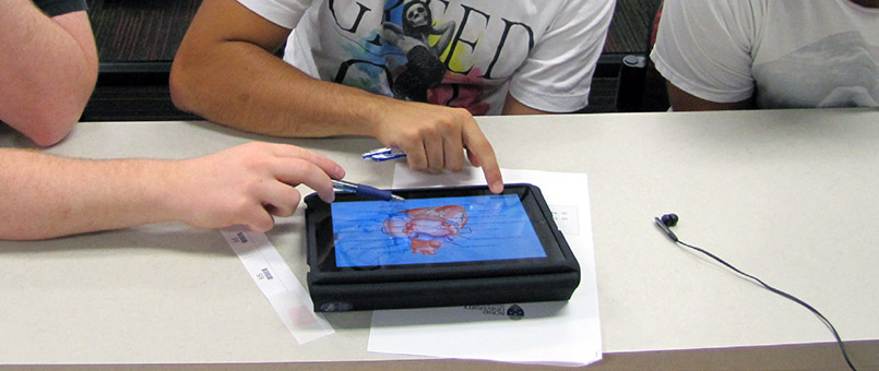 3d interactive anatomy ebook